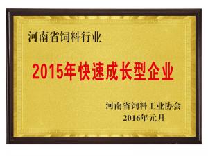 2015年快速成长型企业