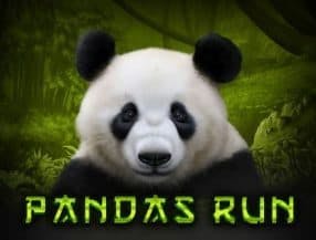 jogos ao vivo estaduais